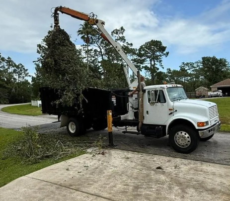 Bold Debris Removal grapple truck hauling brush in Augusta GA